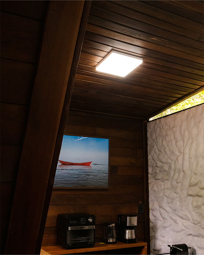 DSC08378cumaru
